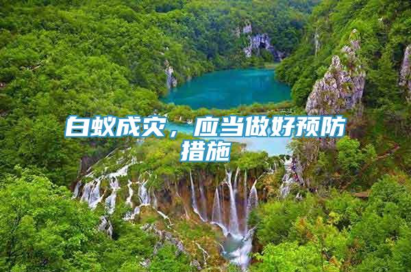 白蟻成災(zāi)，應(yīng)當(dāng)做好預(yù)防措施
