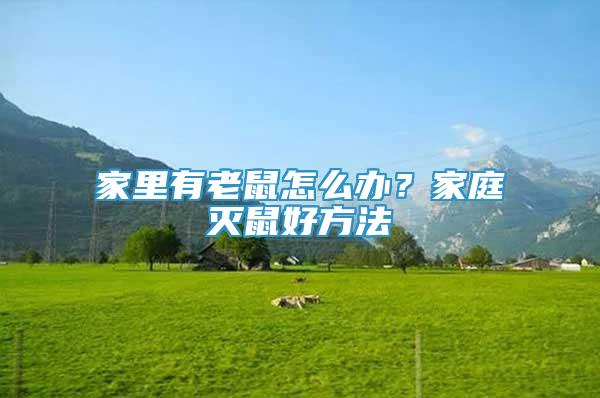 家里有老鼠怎么辦？家庭滅鼠好方法