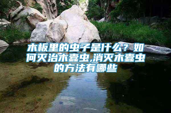 木板里的蟲(chóng)子是什么？如何滅治木蠹蟲(chóng),消滅木蠹蟲(chóng)的方法有哪些