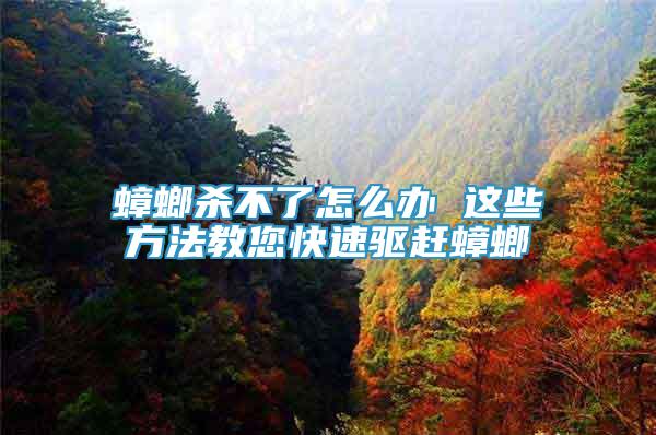蟑螂殺不了怎么辦 這些方法教您快速驅(qū)趕蟑螂