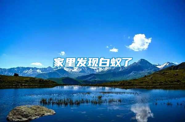 家里發(fā)現(xiàn)白蟻了