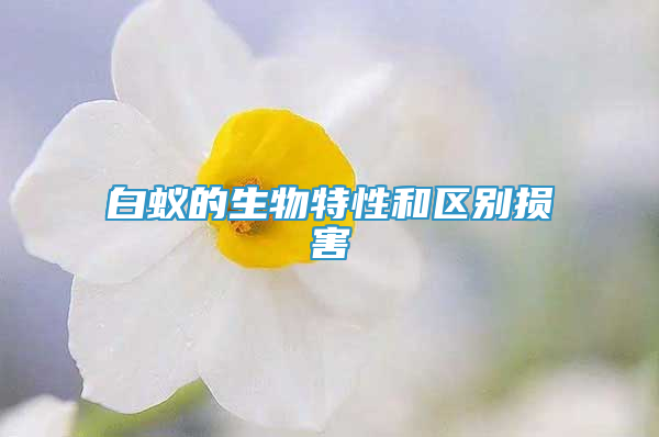 白蟻的生物特性和區(qū)別損害