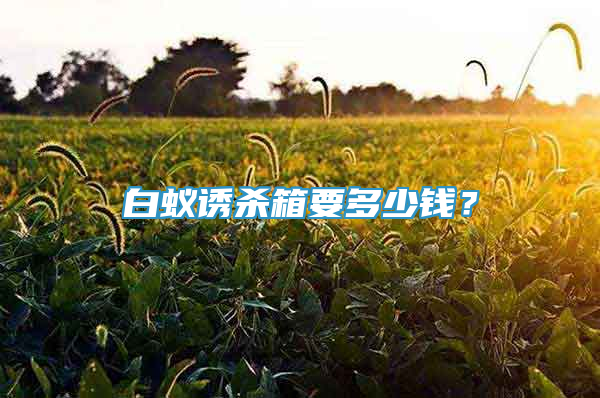白蟻誘殺箱要多少錢？