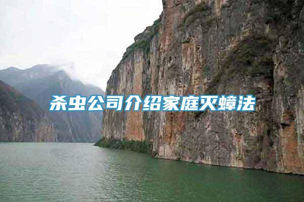 殺蟲公司介紹家庭滅蟑法