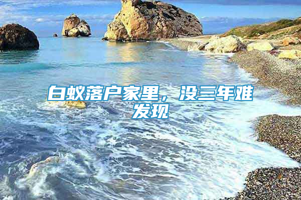 白蟻落戶家里，沒三年難發(fā)現(xiàn)