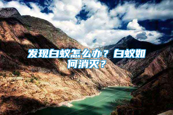 發(fā)現(xiàn)白蟻怎么辦？白蟻如何消滅？