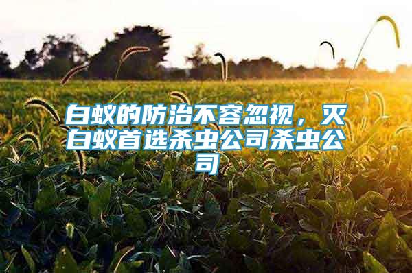 白蟻的防治不容忽視，滅白蟻首選殺蟲公司殺蟲公司