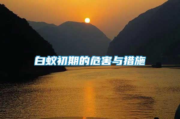 白蟻初期的危害與措施
