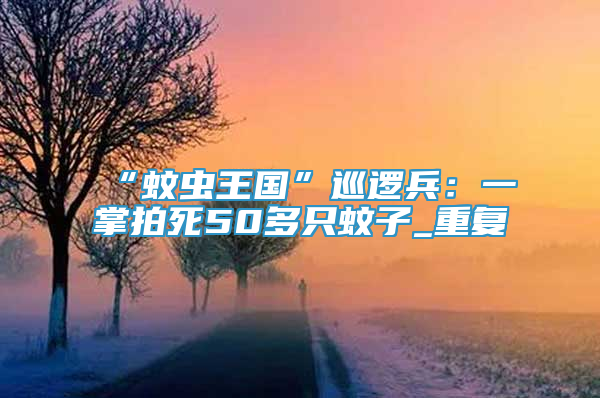 “蚊蟲王國”巡邏兵：一掌拍死50多只蚊子_重復