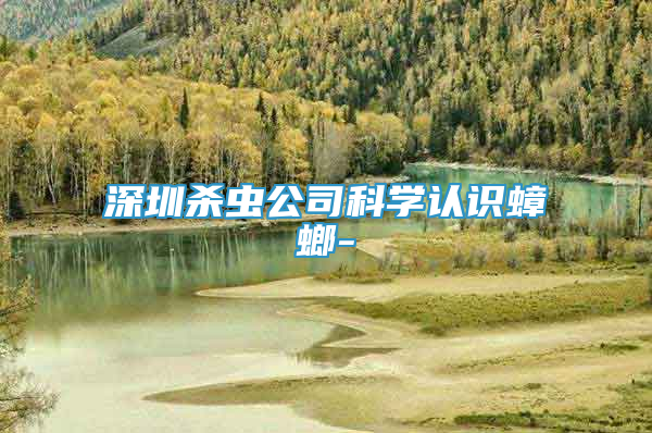 深圳殺蟲公司科學認識蟑螂-