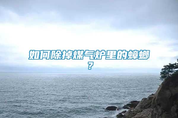 如何除掉煤氣爐里的蟑螂？