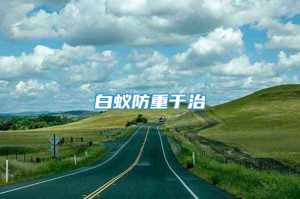 白蟻防重于治