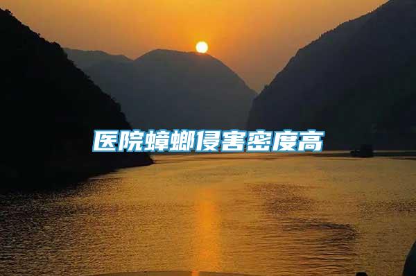 醫(yī)院蟑螂侵害密度高