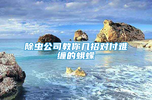 除蟲公司教你幾招對(duì)付難纏的蛾蠓