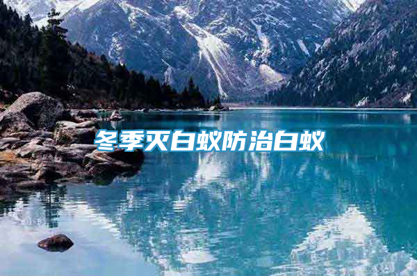 冬季滅白蟻防治白蟻