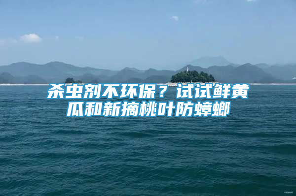 殺蟲劑不環(huán)保？試試鮮黃瓜和新摘桃葉防蟑螂
