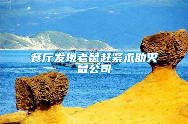 餐廳發(fā)現(xiàn)老鼠趕緊求助滅鼠公司