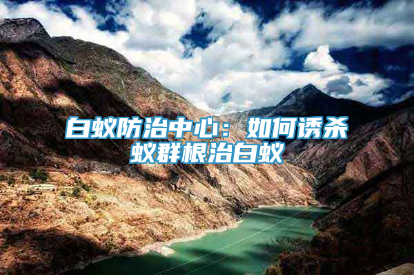 白蟻防治中心：如何誘殺蟻群根治白蟻