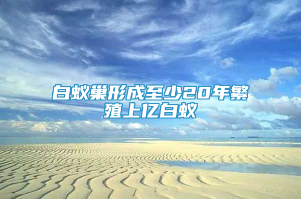 白蟻巢形成至少20年繁殖上億白蟻