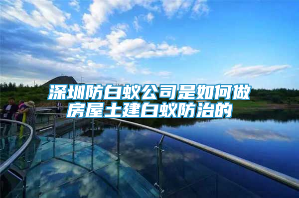 深圳防白蟻公司是如何做房屋土建白蟻防治的