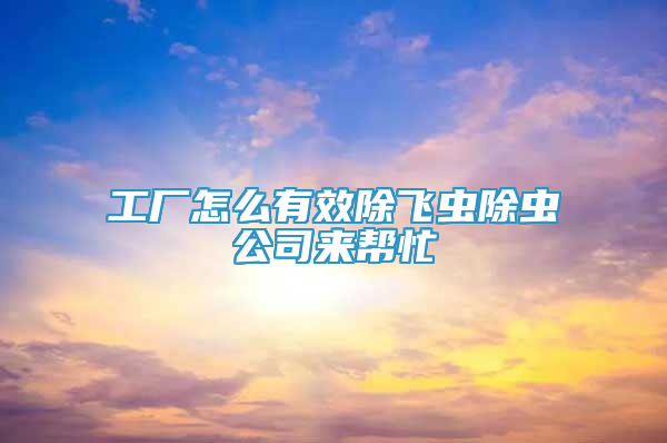 工廠怎么有效除飛蟲除蟲公司來幫忙