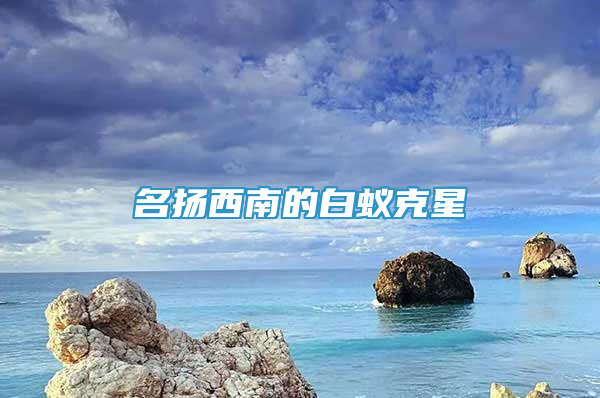 名揚(yáng)西南的白蟻克星