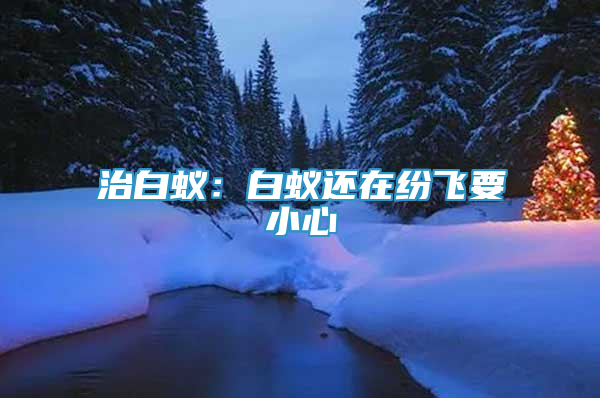 治白蟻：白蟻還在紛飛要小心