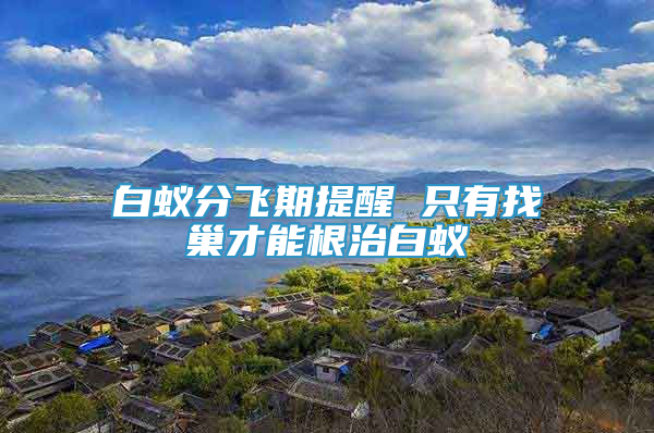 白蟻分飛期提醒 只有找巢才能根治白蟻
