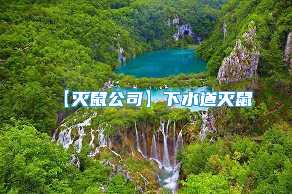 【滅鼠公司】下水道滅鼠